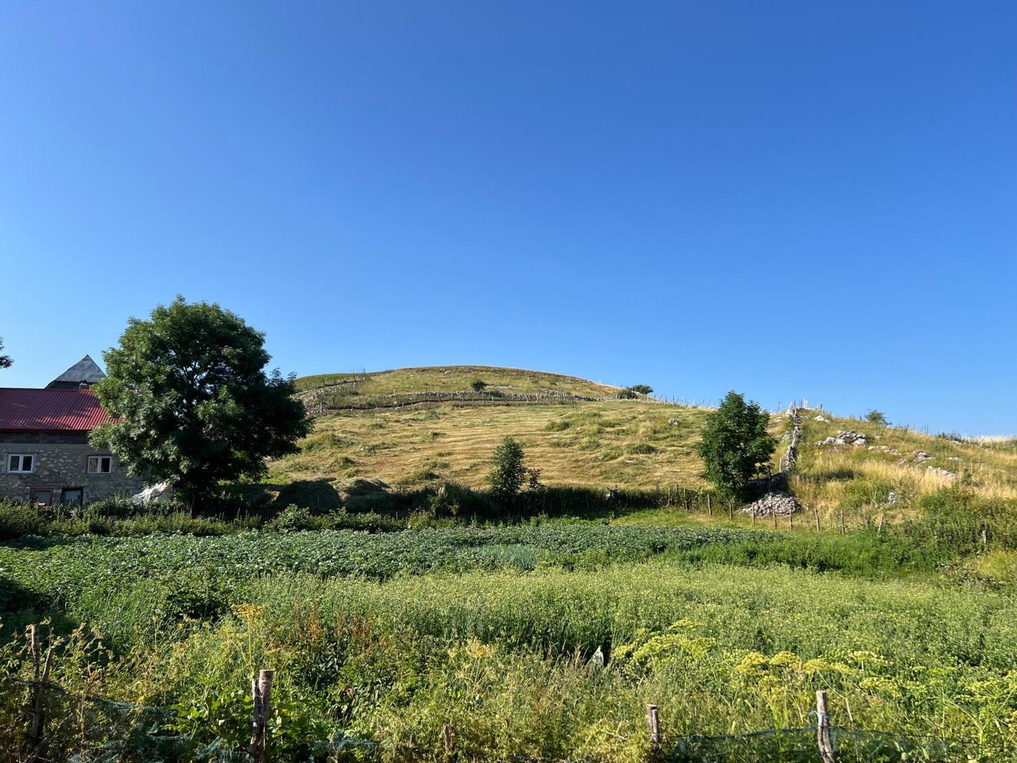 Kod Kapetana Tea Bed & Breakfast Gornji Lukomir Eksteriør bilde